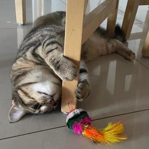 Feather Cat Toy for Cats – Mardi Gras Loop Attachment Play Toy