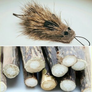Cat Toy Silvervine set - Natural chew sticks & Rafa Rat Mouse realistic cat toy chase toy Tiga Toys - Kitten Cat play - Teeth clean sticks