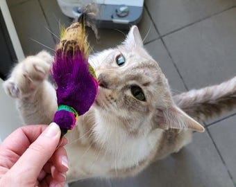 Findlay Finch Bird Cat Toy Real Feathers – Colourful Finch Wand Attachment – Handmade Interactive Cat Toy for Play – by TigaToys