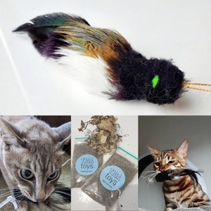 Bettie feather Black Bird cat toy teaser & 5g Cat Nip set by Tiga Toys handmade ,Realistic handmade training aid teaser