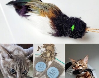 Bettie feather Black Bird cat toy teaser & 5g Cat Nip set by Tiga Toys handmade ,Realistic handmade training aid teaser