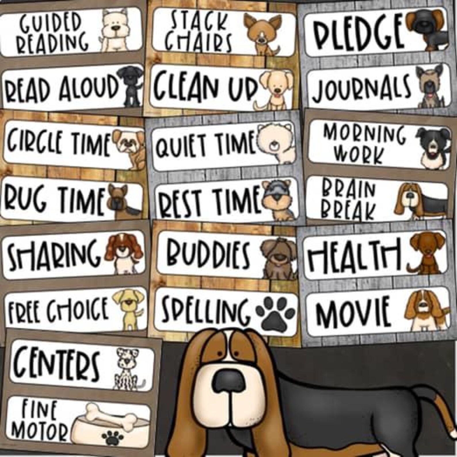 Daily Visual Schedule Cards for Classroom Agenda Dog Theme Editable ...