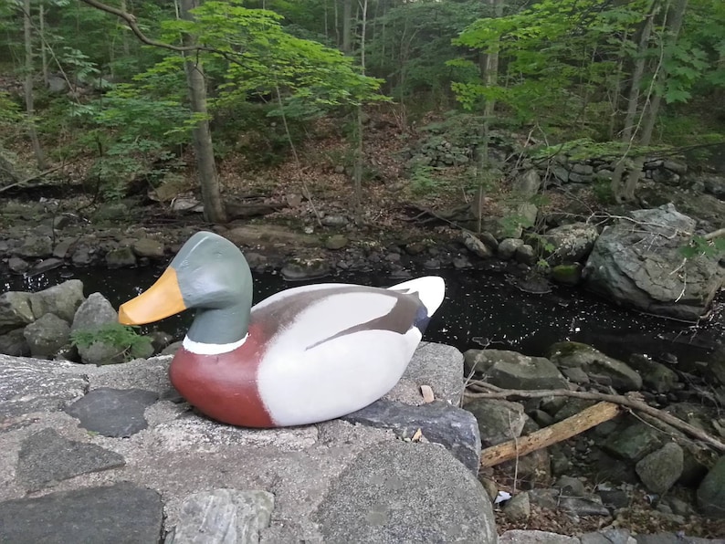 May include: A painted wooden duck decoy with a green head, orange beak, and a white, brown, and red body. The duck is positioned on a stone surface near a stream, with trees and foliage in the background.