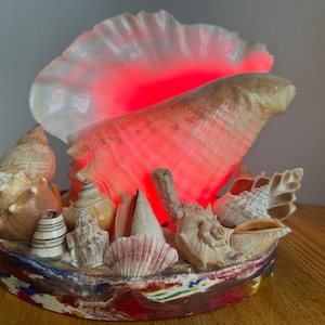 May include: A decorative seashell lamp featuring a large, translucent shell lit with red light. Various seashells are arranged around the base, which is painted with colorful accents. The lamp creates a warm, ambient glow.