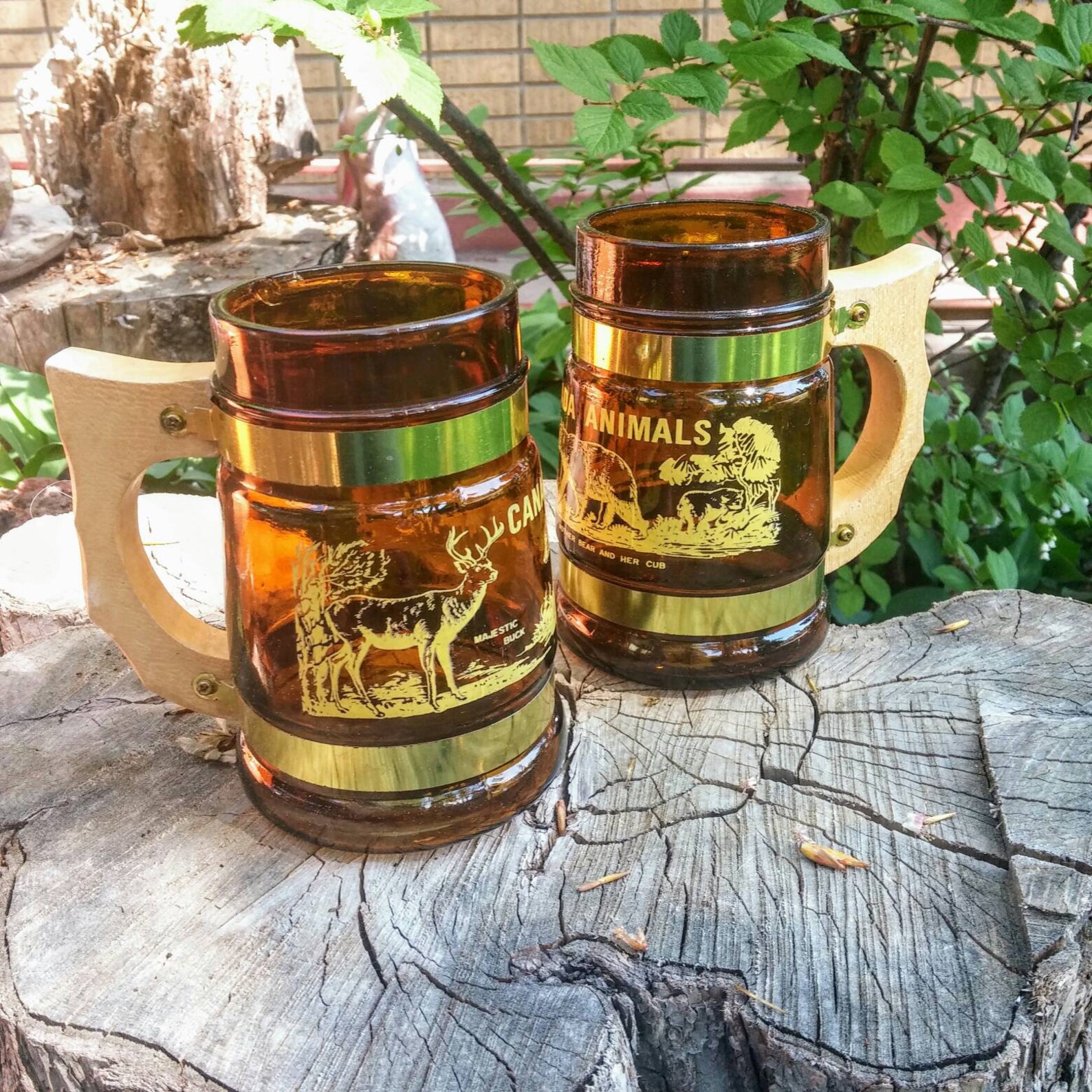 Vintage Pint Beer Mug Vintage Canadian Wildlife Mug Canada Etsy