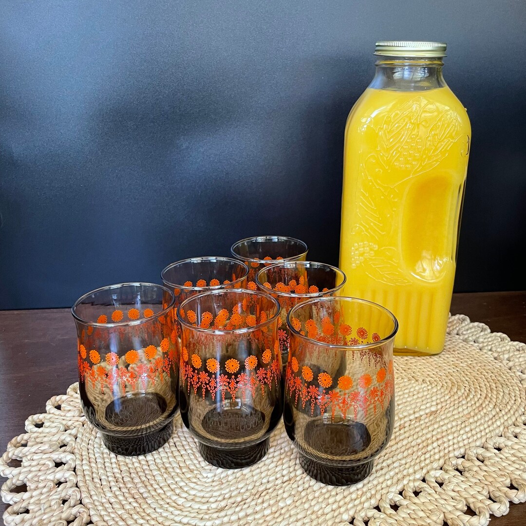 Vintage Smoked Glass Flowered Drink Glasses Set of 6 Smoked Brown With