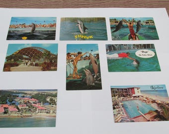 Vintage Lot of Miami's Fabulous Seaquarium Postcards/The Castaways Miami Beach/Miami Florida Postcards/Epherma