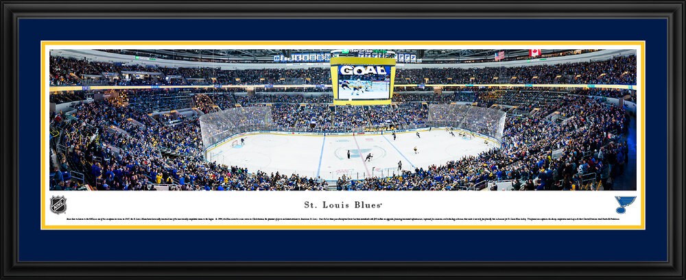 Martin St-Louis - The NHL Photo (128406) - Fanpop