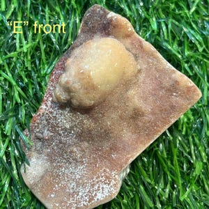 Crazy Lace Agate Crystal Polished Slabs From Mexico Beautiful Banding Sparkling Druzy Energy Balance Decor Or Gift E