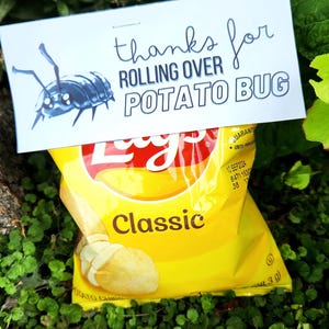 May include: A blue and white card with the text "thanks for rolling over potato bug" and a cartoon illustration of a potato bug. The card is placed on top of a bag of Lay's Classic potato chips.