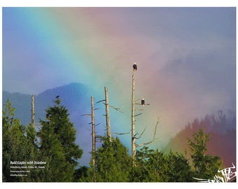 The Bald Eagles of Strawberry Island with Rainbow (XL Semi-Gloss Print - 3' x 4')