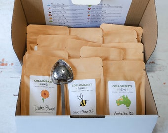 Tea Sampler 12 Pack with Tea Strainer  | Eco-Friendly Packaging