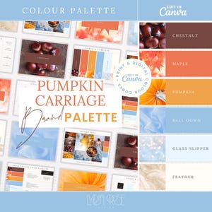 Herbst Premium-Farben | Farbpalette mit CMYK, RGB & Hex Codes | Designer Branding für kleine Unternehmen | Aschenputtel Kürbis Palette