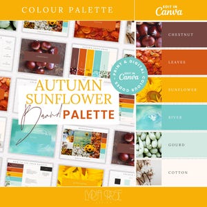 Autumn Premium Colours | Colour Palette with CMYK, RGB & Hex Codes | Designer Branding for Small Businesses | Sunflower Teal Autumn Palette