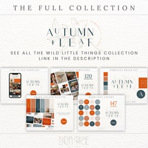 Premium Colour Palette | Colour Palette With CMYK, RGB & Hex Codes ...