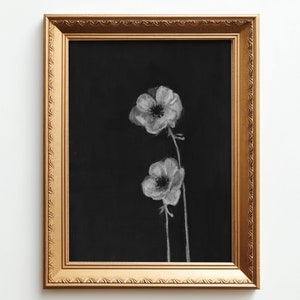 ANEMONE. Floral Charcoal Drawing, Original Charcoal Drawing, Botanical Fine Art Print, Vintage Art Print