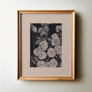ROSE BUSH. Floral Charcoal Drawing, Original Charcoal Drawing, Botanical Fine Art Print, Vintage Art Print