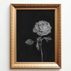 SINGLE ROSE. Floral Charcoal Drawing, Original Charcoal Drawing, Botanical Fine Art Print, Vintage Art Print