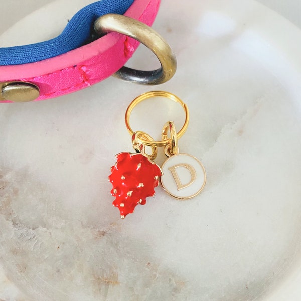 Strawberry Pet Collar Charm, Dog Tag, Cat Tag, Kitten Tag, Puppy Tag, Collar Accessories, Fruit Tag