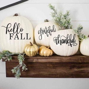 Fall Pumpkin Decals: Hello Fall, Grateful, Thankful - Halloween Decor