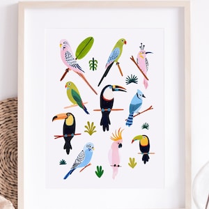 Tropical Bird Wall Art, Bird Species Art Print, Nursery Wall Art, Parrot, Budgie, Toucan, Nursery Decor, Kids Room Decor, Animal Wall Art image 2