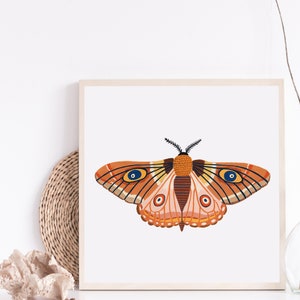 Autumn Moth Print, Insect Print, Butterfly, Nursery Wall Art, Bugs Print, Kids Room Decor, Animal Nursery, Bugs Art, Woodland Nursery, Fall image 3