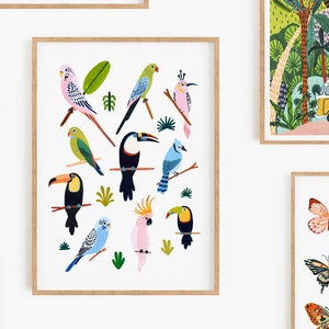 Tropical Bird Wall Art, Bird Species Art Print, Nursery Wall Art, Parrot, Budgie, Toucan, Nursery Decor, Kids Room Decor, Animal Wall Art image 7