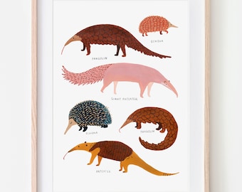 Impresión de pangolín, oso hormiguero y equidna, arte de pared para guardería, estampados de animales, decoración de habitación infantil, guardería de animales, decoración del hogar, regalo para ella