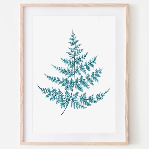 Fern / Botanical Print / Watercolour / Art Print / Wall Art / Botanical Illustration / Home Decor / Dorm Wall Art / Bathroom Wall Art