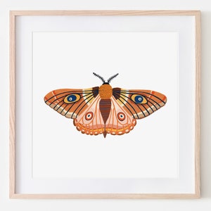 Autumn Moth Print, Insect Print, Butterfly, Nursery Wall Art, Bugs Print, Kids Room Decor, Animal Nursery, Bugs Art, Woodland Nursery, Fall image 1