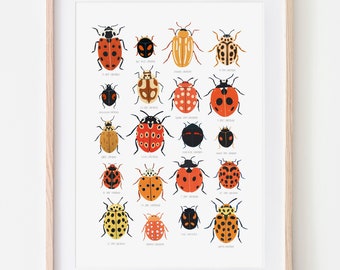 Ladybird Identification Print, Ladybug, Natural History Poster, Nursery Print, Beetle Print, Nursery Wall Art, Bugs Print, Kids Room Decor