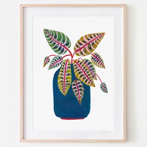 Botanical Print / Prayer Plant / Botanical Illustration / Home Decor / House Plants / Dorm Decor / Dorm Wall Art