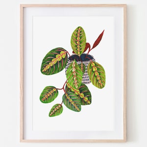Impresión botánica / Planta de oración / Ilustración botánica / Decoración de pared para baño / Decoración del hogar / Plantas de interior / Arte de pared para dormitorio