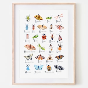 Insect Alphabet Print, Nursery Wall Art, Bugs Print, Children's Prints, Nursery Decor, Alphabet Poster, Kids Wall Art, Woodland Nursery