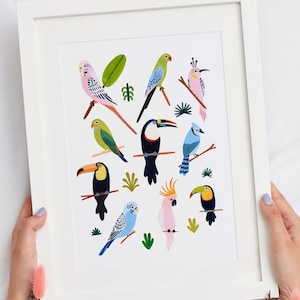 Tropical Bird Wall Art, Bird Species Art Print, Nursery Wall Art, Parrot, Budgie, Toucan, Nursery Decor, Kids Room Decor, Animal Wall Art image 3