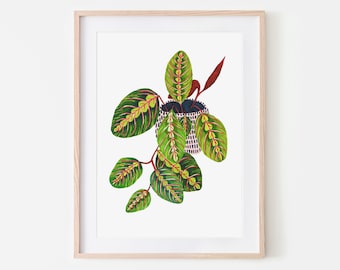 Botanical Print / Prayer Plant / Botanical Illustration / Bathroom Wall Decor / Home Decor / House Plants / Dorm Wall Art