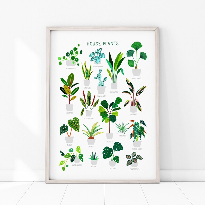 House Plants, Botanical Print, Plant poster, Indoor Plant, Bathroom Wall decor, Plant Lady, Plant lover gift, Home Decor, Illustration image 3
