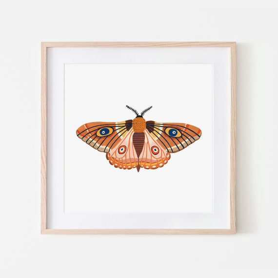 Autumn Moth Print, Insect Print, Butterfly, Nursery Wall Art, Bugs Print, Kids Room Decor, Animal Nursery, Bugs Art, Woodland Nursery, Fall
