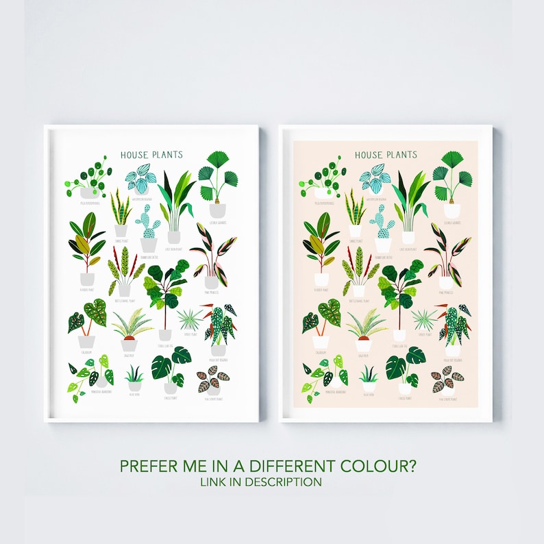 House Plants, Botanical Print, Plant poster, Indoor Plant, Bathroom Wall decor, Plant Lady, Plant lover gift, Home Decor, Illustration image 8