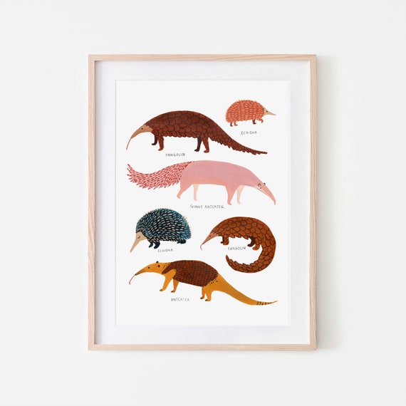 Printable Pangolin Artwork Home Décor Wall Décor etna.com.pe