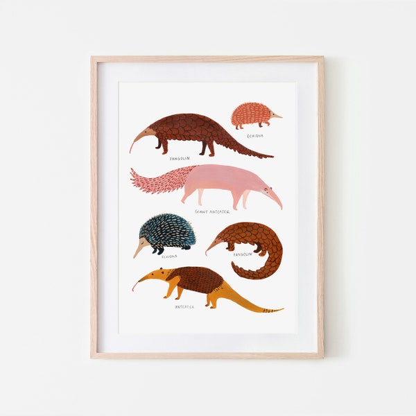 Pangolino, Formichiere & Stampa Echidna, Nursery Wall Art, Stampe animali, Arredamento camera bambini, Vivaio animale, Oggettistica per la casa, Regalo per lei