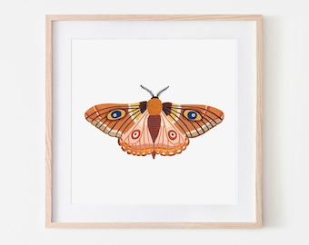 Autumn Moth Print, Insect Print, Butterfly, Nursery Wall Art, Bugs Print, Kids Room Decor, Animal Nursery, Bugs Art, Woodland Nursery, Fall