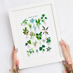 House Plants, Botanical Print, Plant poster, Indoor Plant, Bathroom Wall decor, Plant Lady, Plant lover gift, Home Decor, Illustration image 4