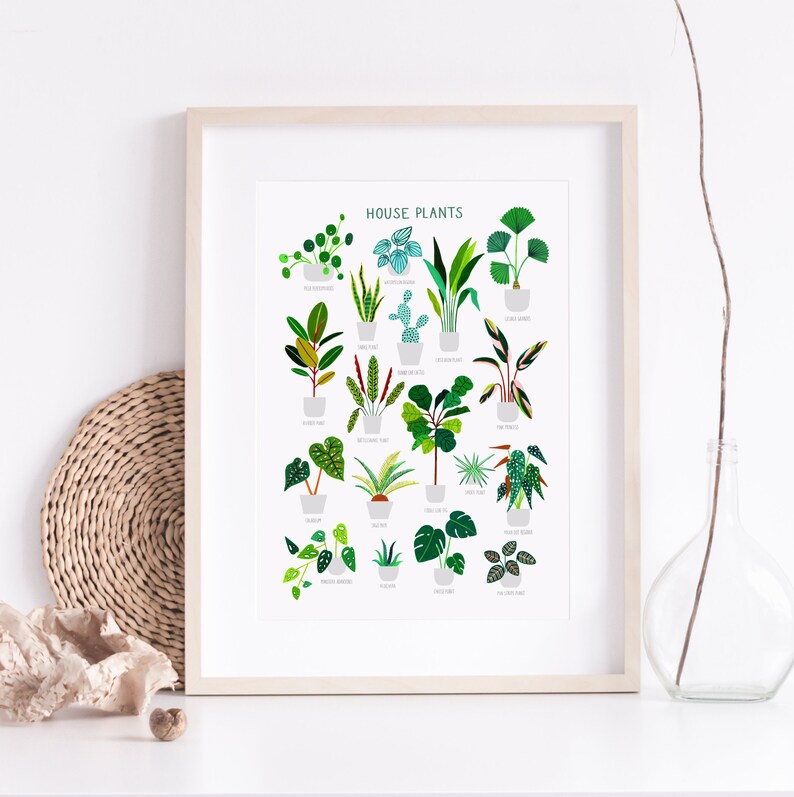 House Plants, Botanical Print, Plant poster, Indoor Plant, Bathroom Wall decor, Plant Lady, Plant lover gift, Home Decor, Illustration image 6
