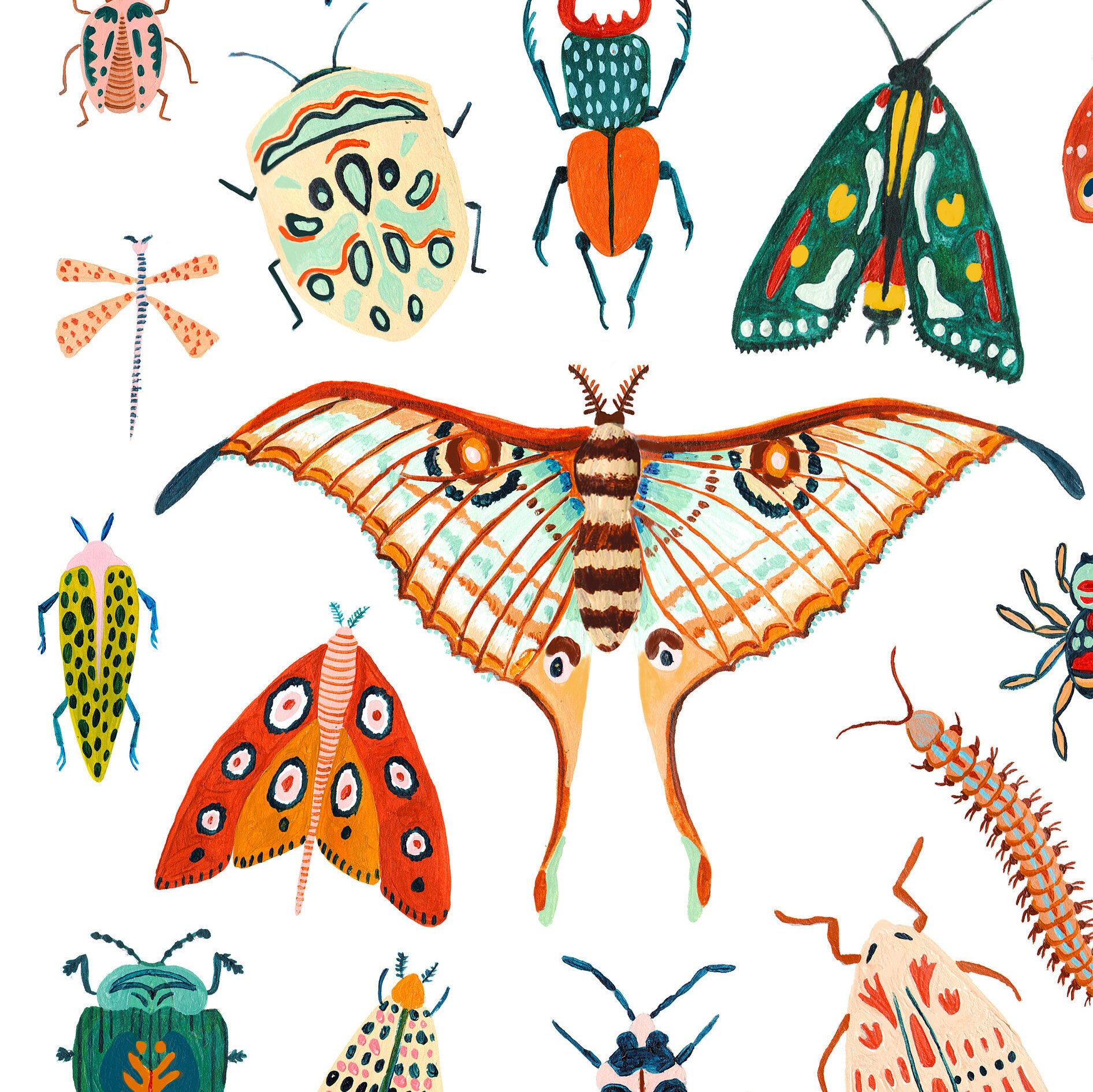 Beetle Moth and Butterfly Print Insect Print Nursery Wall Etsy
