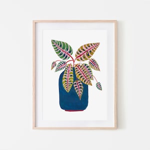 Botanical Print / Prayer Plant / Botanical Illustration / Home Decor / House Plants / Dorm Decor / Dorm Wall Art