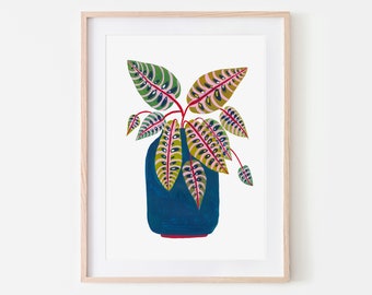 Botanical Print / Prayer Plant / Botanical Illustration / Home Decor / House Plants / Dorm Decor / Dorm Wall Art
