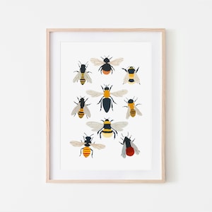 British Bee Species Print, Insect Print, Bumblebee, Nursery Wall Art, Bugs Print, Kids Room Decor, Animal Nursery, Bugs Art, Wildlife Poster