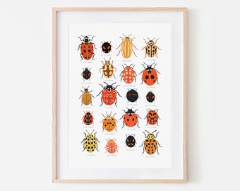 Ladybird Identification Print, Ladybug, Natural History Poster, Nursery Print, Beetle Print, Nursery Wall Art, Bugs Print, Kids Room Decor