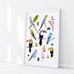 Tropical Bird Wall Art, Bird Species Art Print, Nursery Wall Art, Parrot, Budgie, Toucan, Nursery Decor, Kids Room Decor, Animal Wall Art image 6